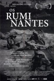 Os Ruminantes