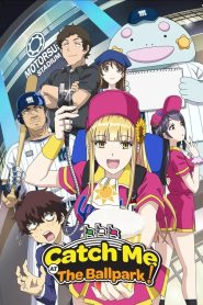 Catch Me at the Ballpark!