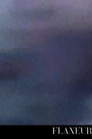 Flâneur