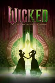 Wicked: One Wonderful Night